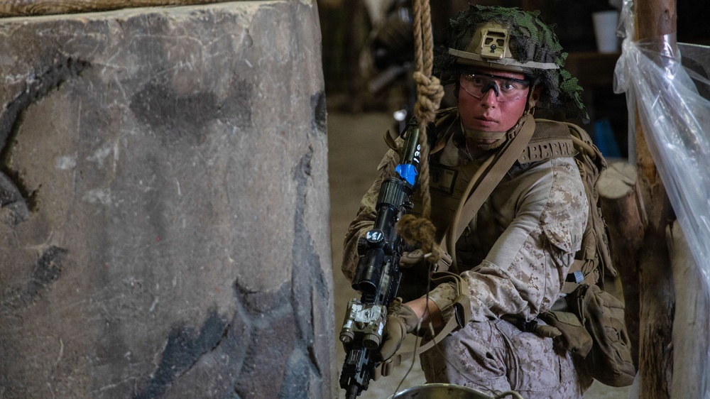 BLT 2/4 | Infantry Immersion Trainer