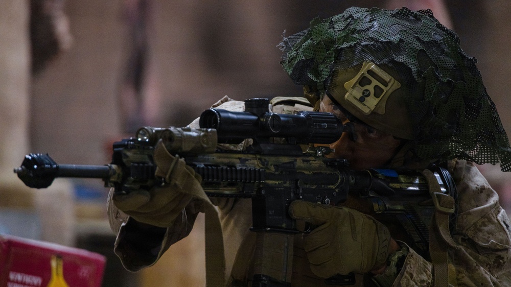 BLT 2/4 | Infantry Immersion Trainer