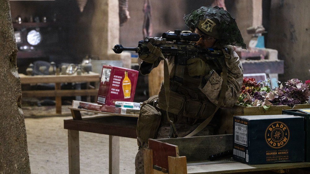 BLT 2/4 | Infantry Immersion Trainer