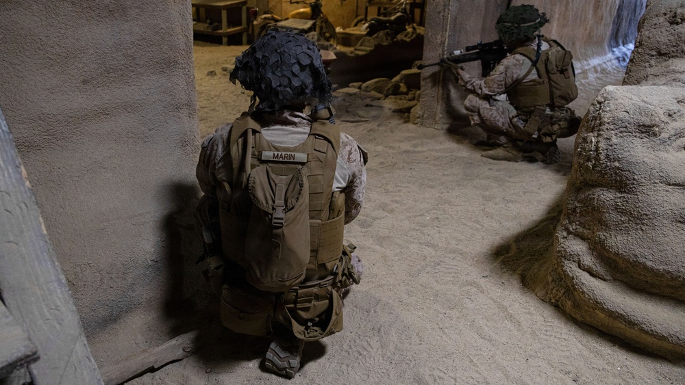 BLT 2/4 | Infantry Immersion Trainer