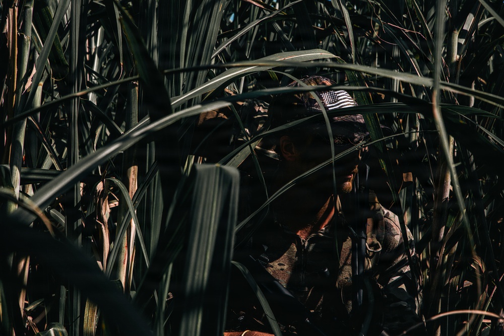 1st SFG (A) Green Berets conduct small group tactics