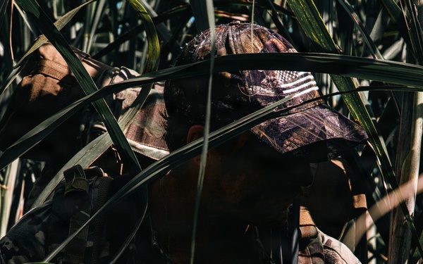 1st SFG (A) Green Berets conduct small group tactics