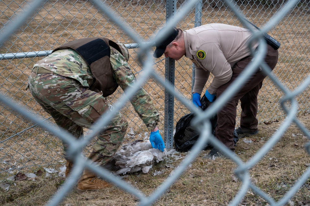 As the weather warms, CLEO is on speed-dial