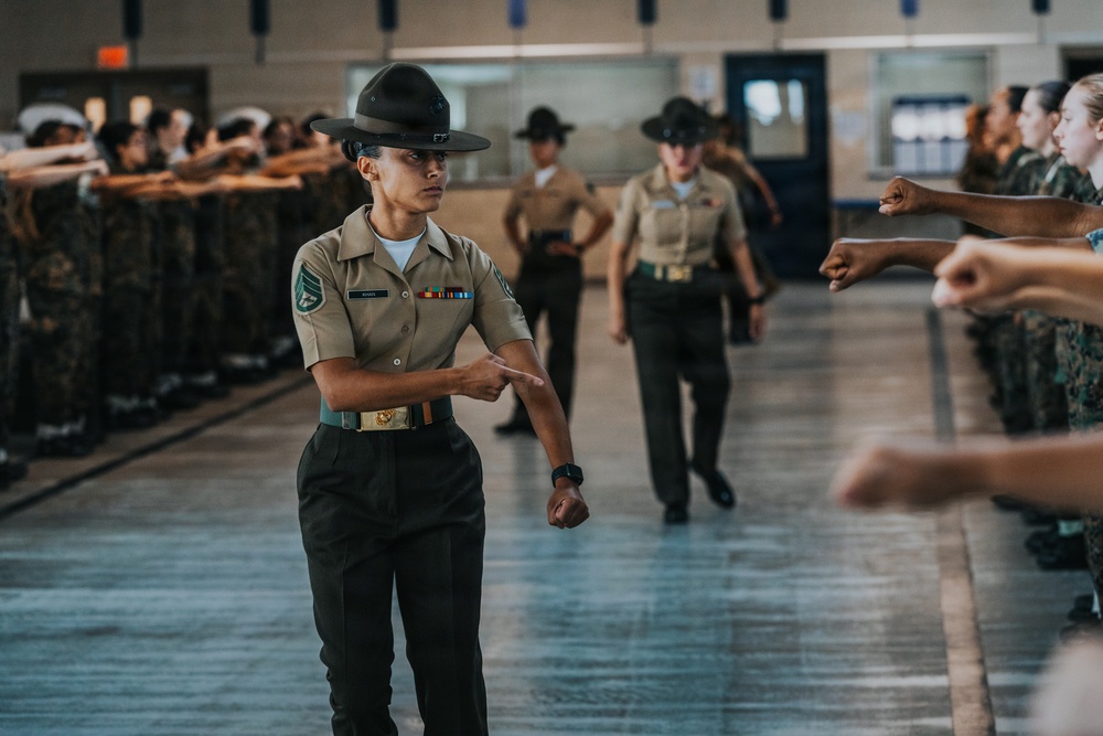 November Company Pick Up