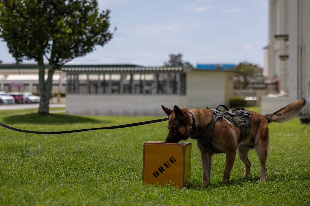 Camp Foster hosts an MLC Appreciation Day