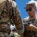 Multinational Forces Train at Pacific Land Forces Team Readiness Challenge