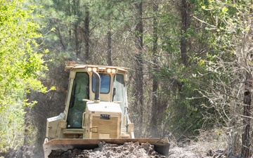 Clearing Brush