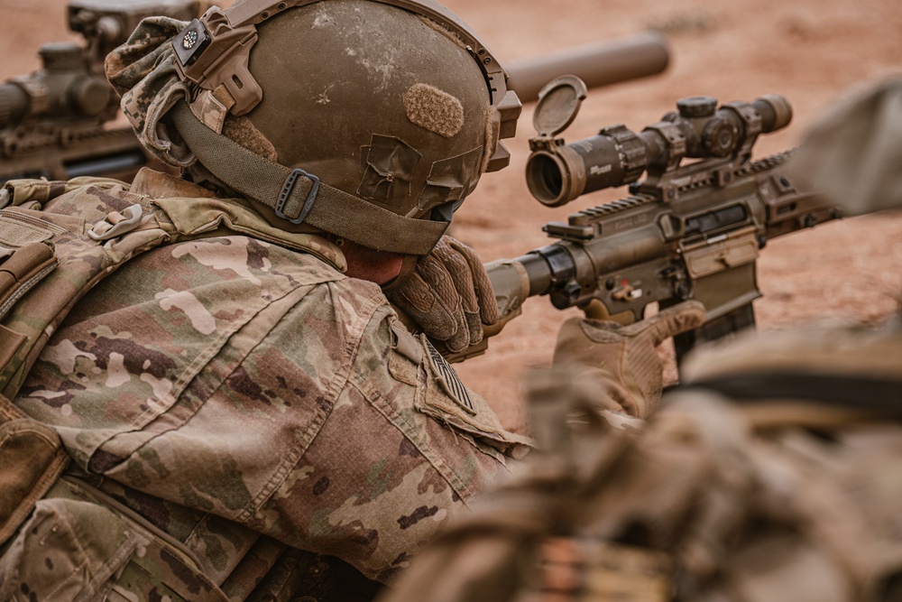 African Lion 26 combined arms live-fire exercise builds lethality and combat readiness