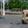Balikatan 2026: USAF TACP members prepare for operations