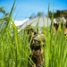 Balikatan 2026: 3rd LCT Marines, Philippine Marines simulate airfield seizure operations