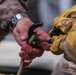 11th MEU Marines, Sailors Conduct Rappel Training Aboard USS Boxer