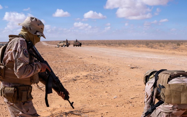 Multinational forces conduct vehicle interdiction training during Flintlock 2026