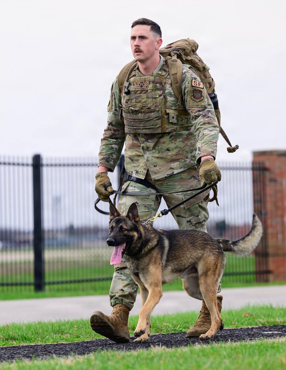 Team Scott honors military working dogs through ruck