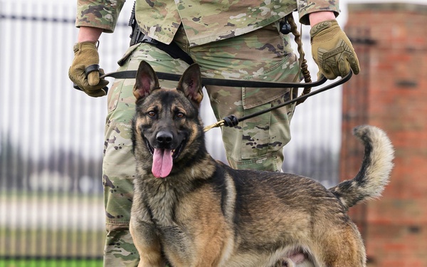 Team Scott honors military working dogs through ruck