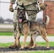 Team Scott honors military working dogs through ruck