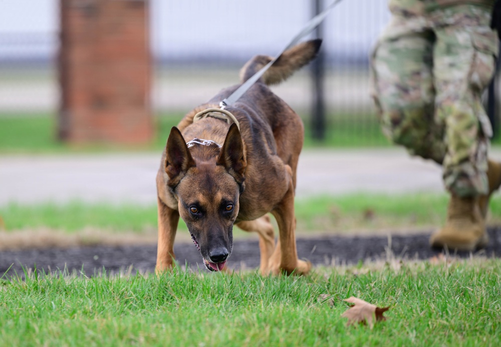 Team Scott honors military working dogs through ruck