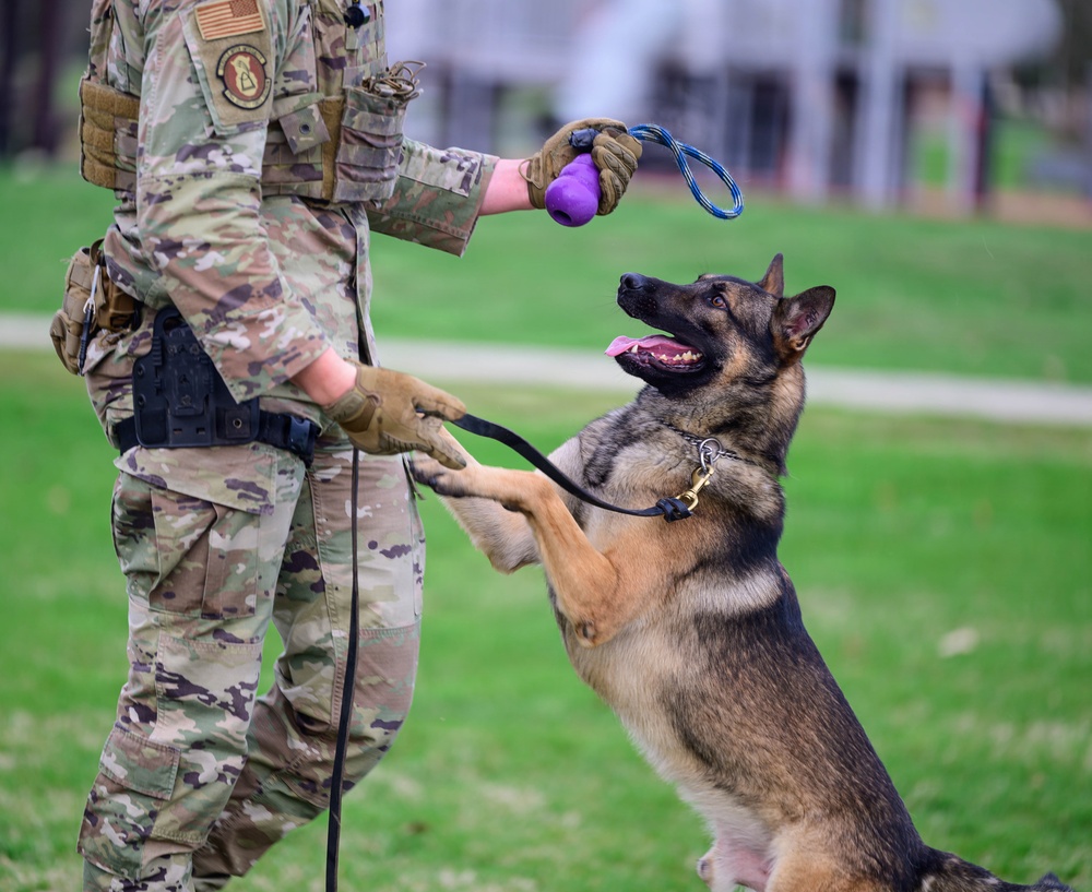 Team Scott honors military working dogs through ruck