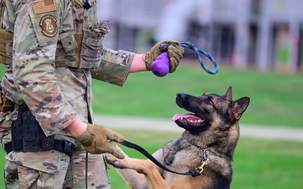 Team Scott honors military working dogs through ruck