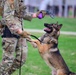 Team Scott honors military working dogs through ruck