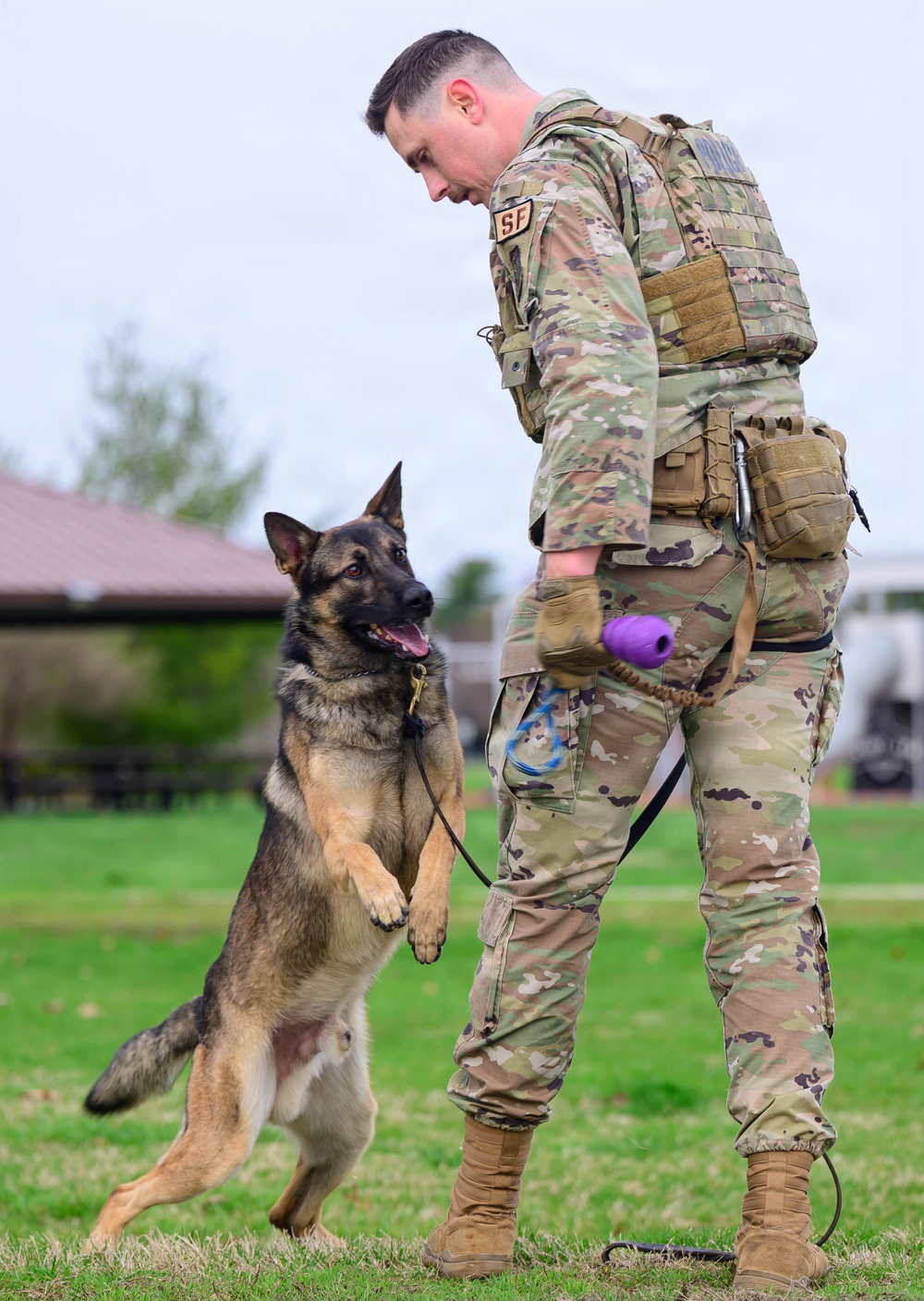 Team Scott honors military working dogs through ruck