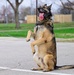 Team Scott honors military working dogs through ruck