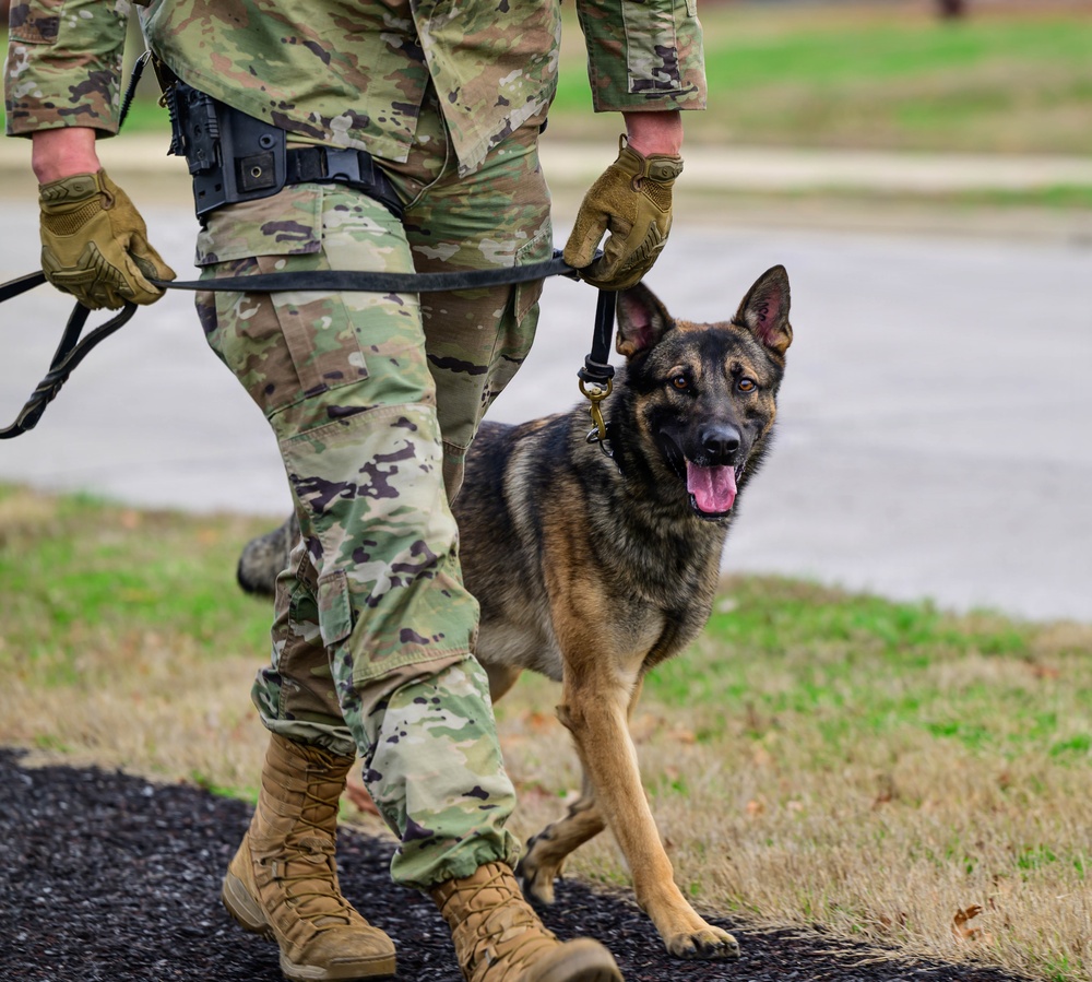Team Scott honors military working dogs through ruck