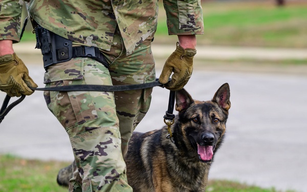 Team Scott honors military working dogs through ruck