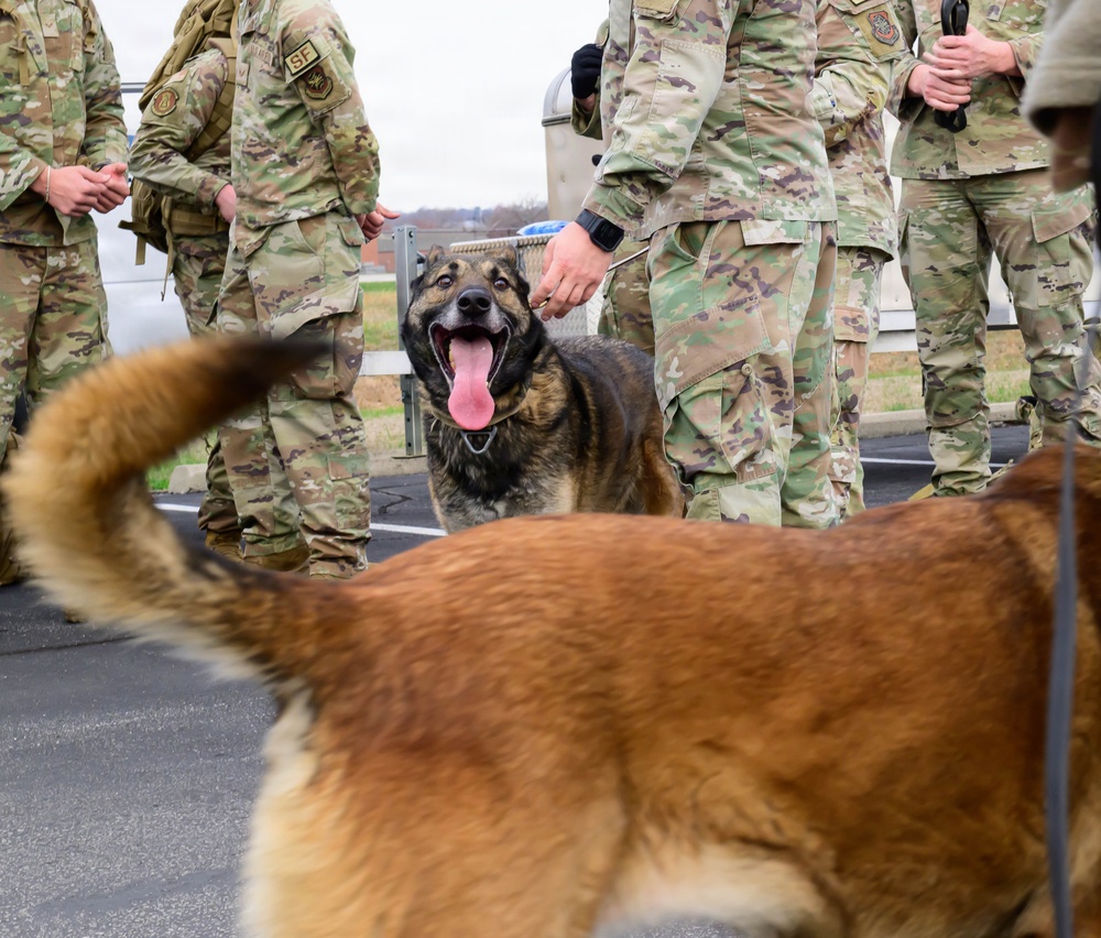 Team Scott honors military working dogs through ruck