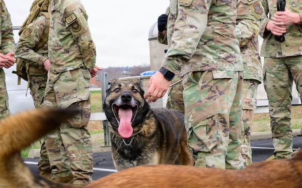 Team Scott honors military working dogs through ruck