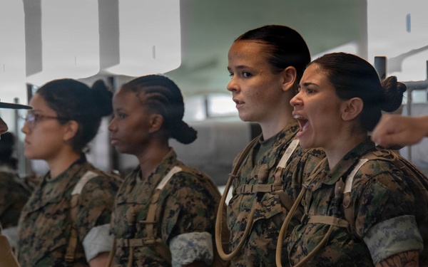 November Company Pick Up