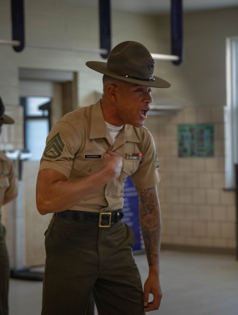 November Company Pick Up