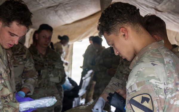 Ironhorse brigade conducts reanimated tissue training