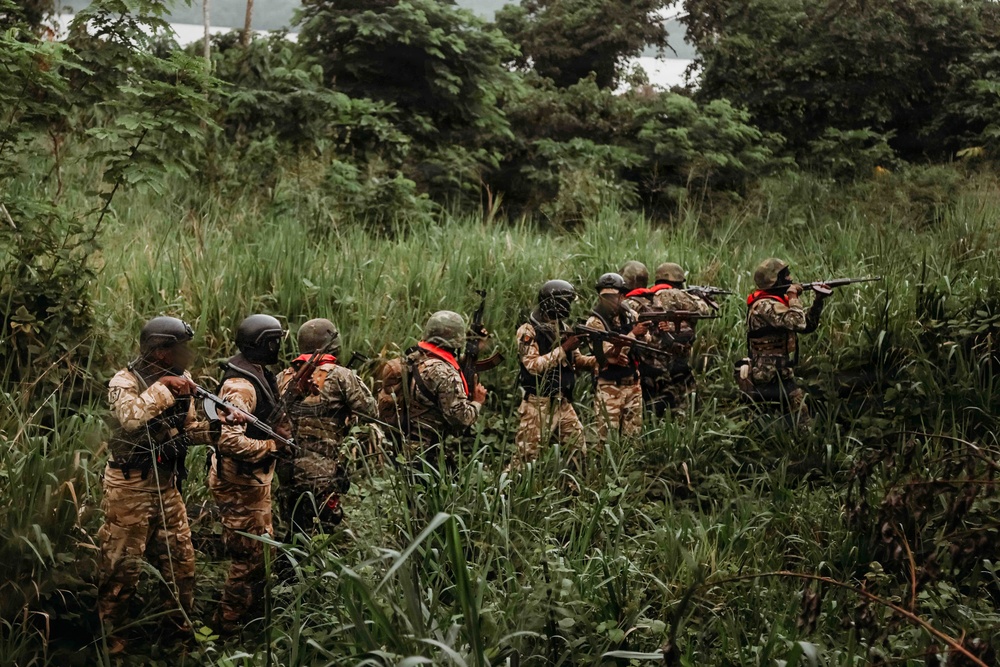 Multinational forces integrate multidomain capabilities during Flintlock 26