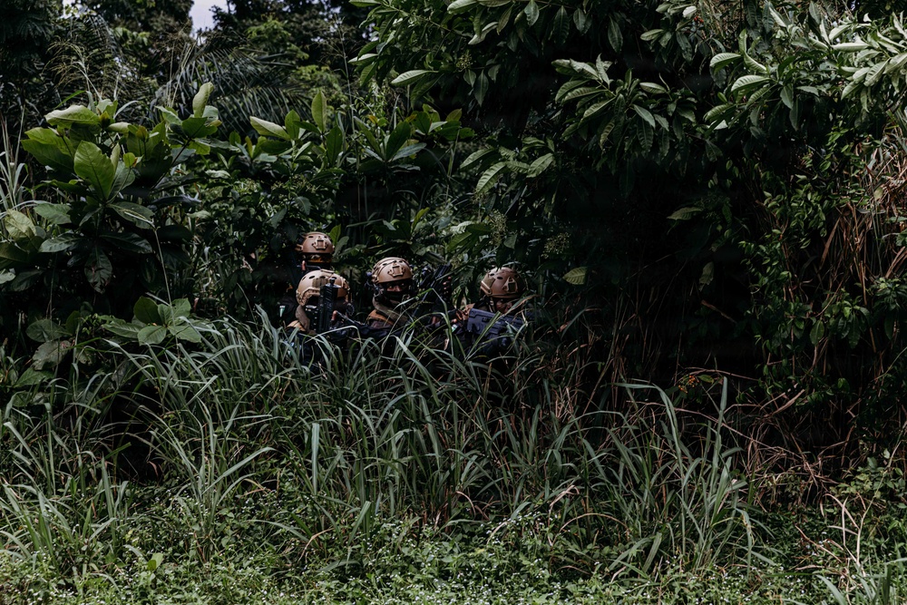 Multinational forces integrate multidomain capabilities during Flintlock 26