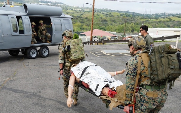 NEMWDC forges expeditionary medical readiness with integrated training