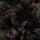 Ironhorse brigade conducts reanimated tissue training Ironhorse brigade conducts reanimated tissue training