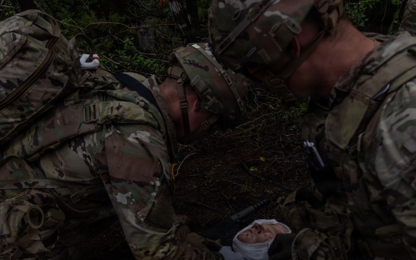 Ironhorse brigade conducts reanimated tissue training