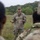 Ironhorse brigade conducts reanimated tissue training Ironhorse brigade conducts reanimated tissue training