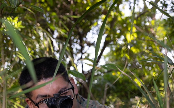 COMMSTRAT Field Training Exercise 2026