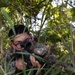 COMMSTRAT Field Training Exercise 2026