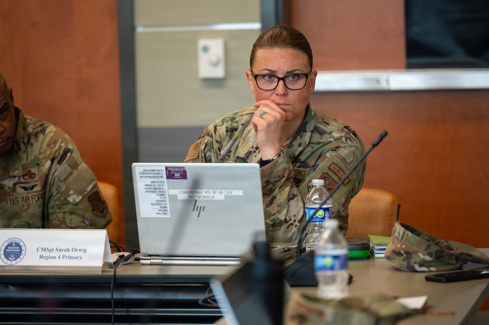 Air Guard Enlisted Field Advisory Council Discusses Enlisted Force