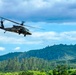 Oregon Citizen-Soldiers conduct annual training in California