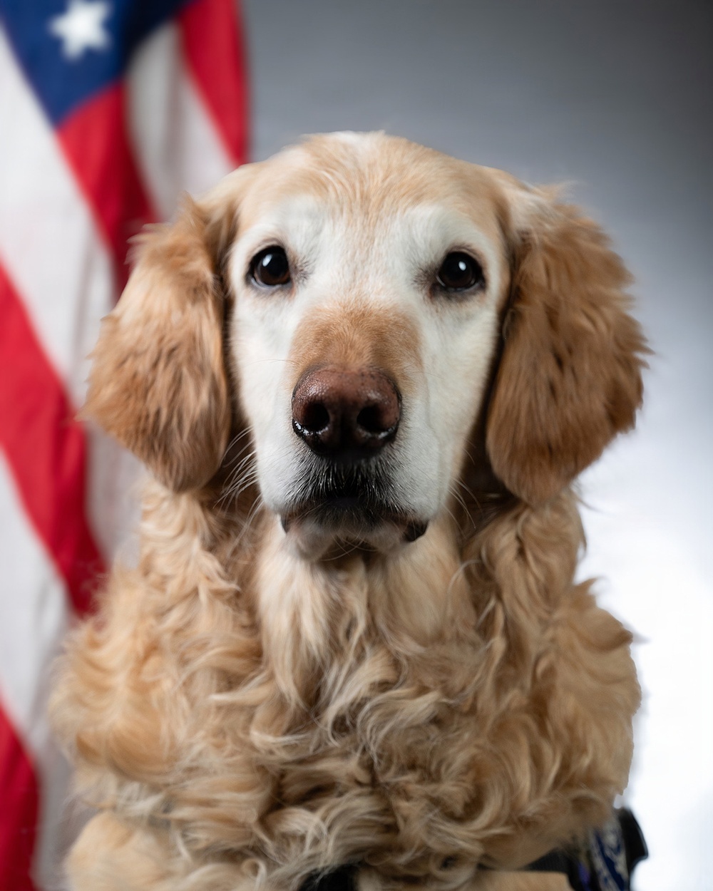 Bolt the Four-Legged Wingman of the 168th Wing