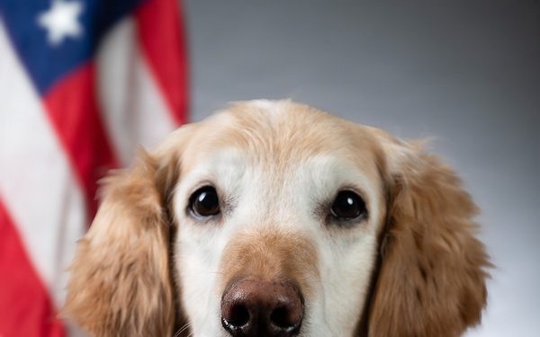 Bolt the Four-Legged Wingman of the 168th Wing