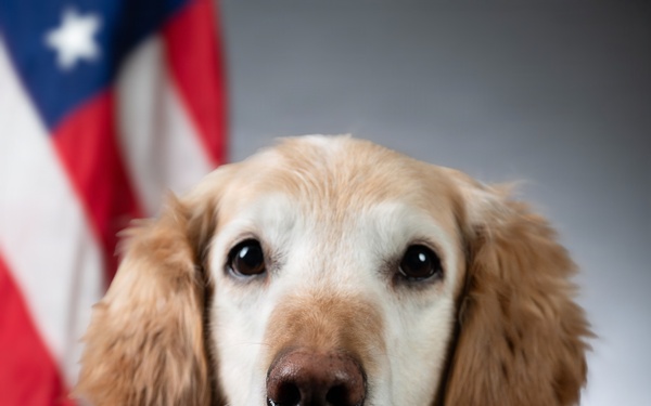 Bolt the Four-Legged Wingman of the 168th Wing