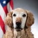 Bolt the Four-Legged Wingman of the 168th Wing