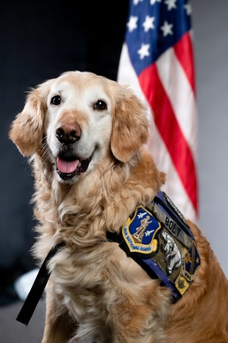 Bolt the Four-Legged Wingman of the 168th Wing
