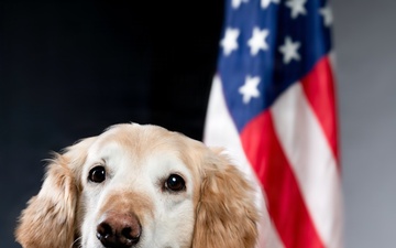 Bolt the Four-Legged Wingman of the 168th Wing