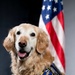 Bolt the Four-Legged Wingman of the 168th Wing