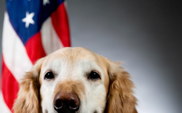 Bolt the Four-Legged Wingman of the 168th Wing